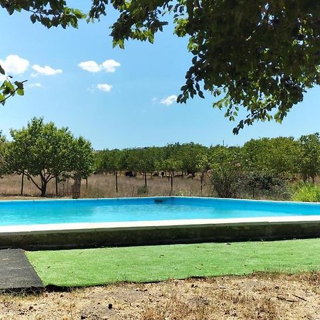 Vila Rod Ranch Livestock - Stanza Doppia Con Letti Singoli Campagnano Di Roma Exteriér fotografie