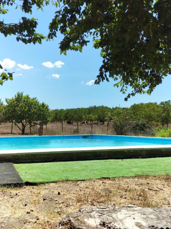Vila Rod Ranch Livestock - Stanza Doppia Con Letti Singoli Campagnano Di Roma Exteriér fotografie